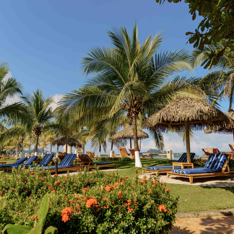 Bahía del Sol Beach Front Boutique Hotel